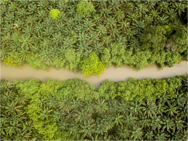 The #FONAP member project in #Indonesia supports village communities to protect their river. 💧
 
🔹 30 youths have joined the river watch 
    community KOMPAS.
🔹 A study is in progress.
🔹 Workshops on river conservation held.

Learn more: forumpalmoel.org/en/member-proj…