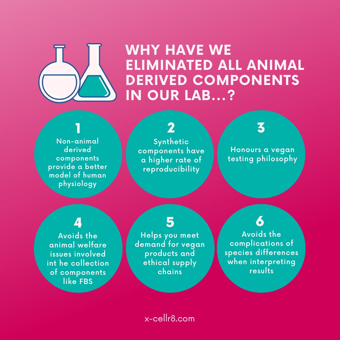 6 reasons why we have eliminated the use of all animal derived components in our laboratory by using human serum, chemically defined media or human platelet lysate instead! 🧐

#veganlab #redefiningtesting #betterscience #animalfreetesting #sciencematters #cosmetictesting