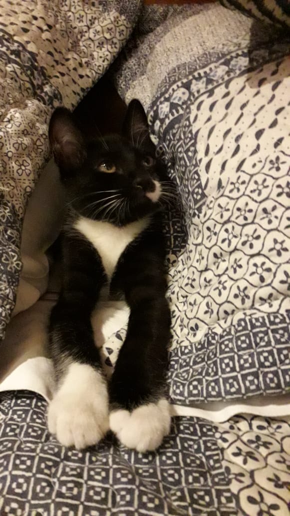 SolcitoMax's tweet image. #OyeMega buenos días por acá nuestro Merlot. El más bello regalo de la vida