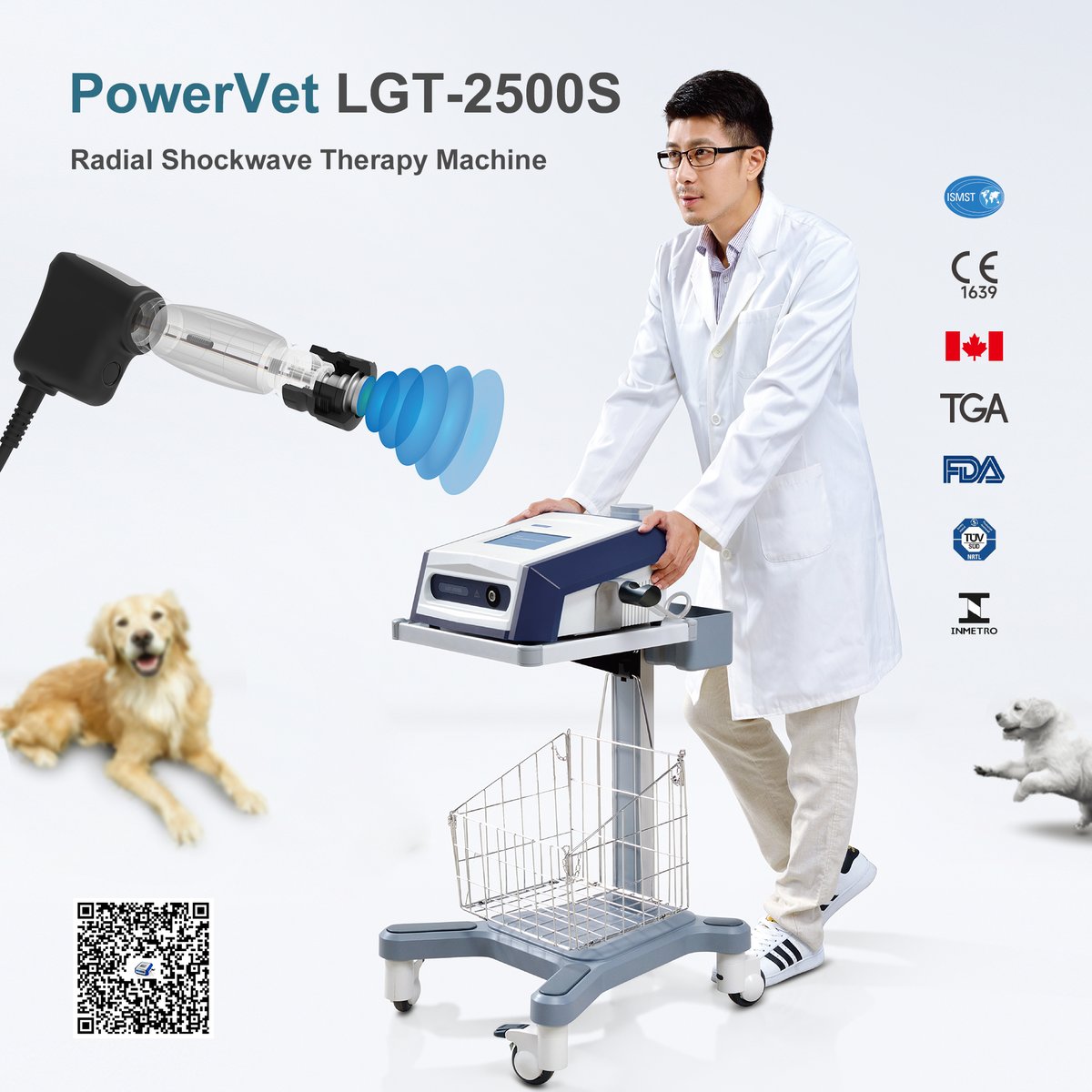 GzLongest's tweet photo. Portable shockwave therapy machine #PowerVetLGT2500S offers veterinary physicians a better musculoskeletal conditions treatment plan for pets. It allows users to practice with ease and flexibility and provides optimal clinical outcomes.   

#loveyourpetsday #vetphysio https://t.co/iCL6k0UYmS