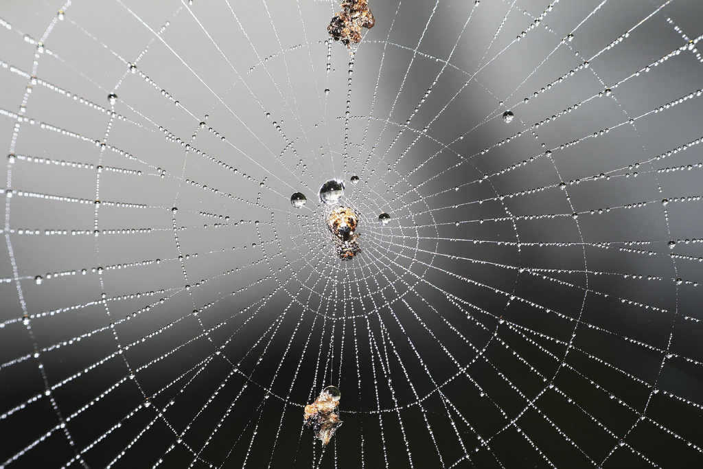 Hei kaikki 17 seuraajaani! Käyttämäni somepalvelun ilmaistiliin mahtuu kolme somekanavaa ja olen tänään korvannut X:n Mastodonilla. Mastodon-postaukset ja linkit Insta- ja Facebook-tileihini löytyvät septit.net/info. Nähdään! #veneily

Kuva: sontran/Freeimages.com