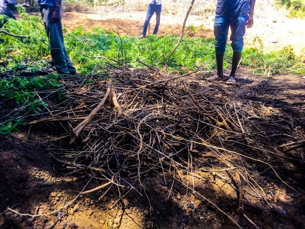 how do we improve soil health using available plant waste? the invasive Prosopis tree can be recycled into use, training ilchamus farmers on how to make compost manure using Prosopis dry and green matter #ClimateAction #foodsovereighty #regenerative #agroecology innovations