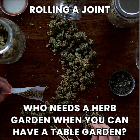 DJDabDaddy's tweet photo. #TableGarden #WeedMemes https://t.co/vCQPaqlqj5