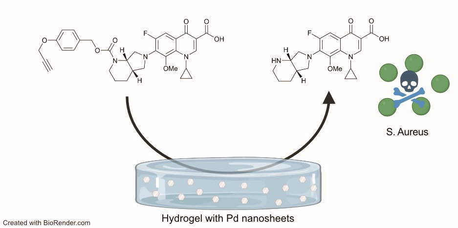 Our latest paper is out now in Organic & Biomolecular Chemistry about Pd-labile fluoroquinolone prodrugs. Hydrogel-coated surfaces were loaded with Pd-nanosheets to catalyze the release of antibiotics from inactive prodrugs to prevent S. aureus biofilms. doi.org/10.1039/D4OB00…