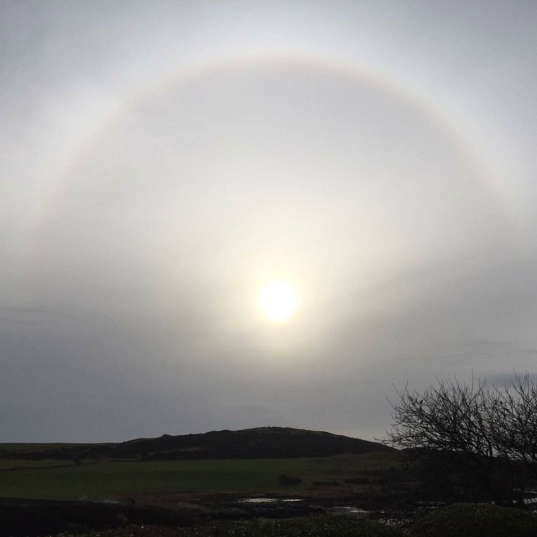 Galloway NPA tweet media