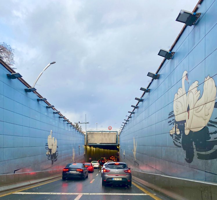 Your daily dose of Ankara 🦢