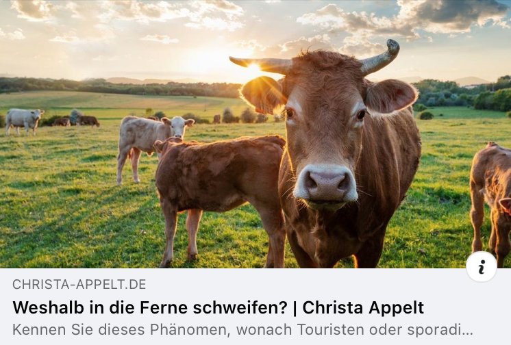 Nah, nachhaltig, neu: Die Kunst des Erkundens
Unser Artikel „Weshalb in die Ferne schweifen?“ erkundet, warum Besucher von außerhalb oft lebendige Einblicke in lokale Schätze bieten. Tauchen Sie ein in die Perspektive der Neugierigen und entdecken Sie, wie das Erkunden von