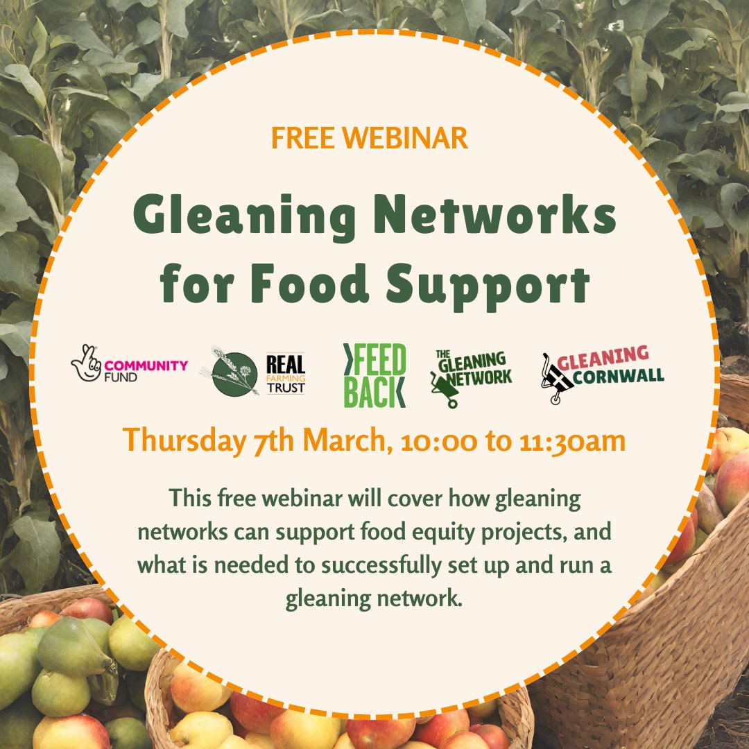 Rural food support organisations want to link up with local growers and farmers. Gleaning is one of the options. Find out more and register for free tickets realfarming.org/event/gleaning… @feedbackorg @RuralActionDerb @FeedingBritain @FareShareUK @TrussellTrust @IFAN_UK