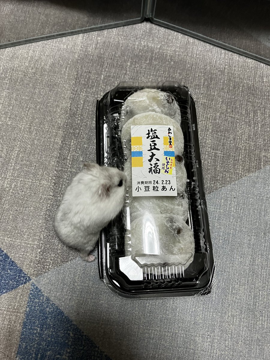 エニ氏⚡🦴 tweet media