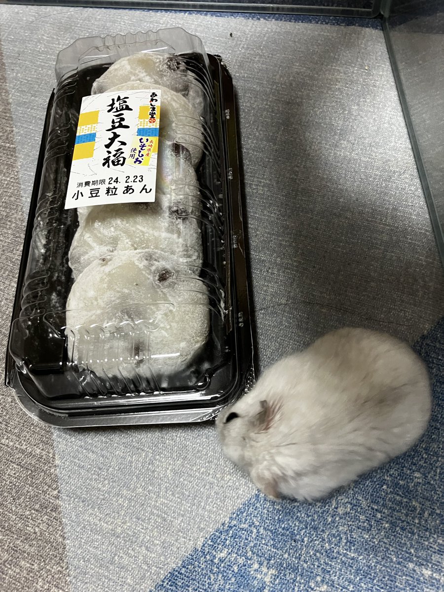 エニ氏⚡🦴 tweet media