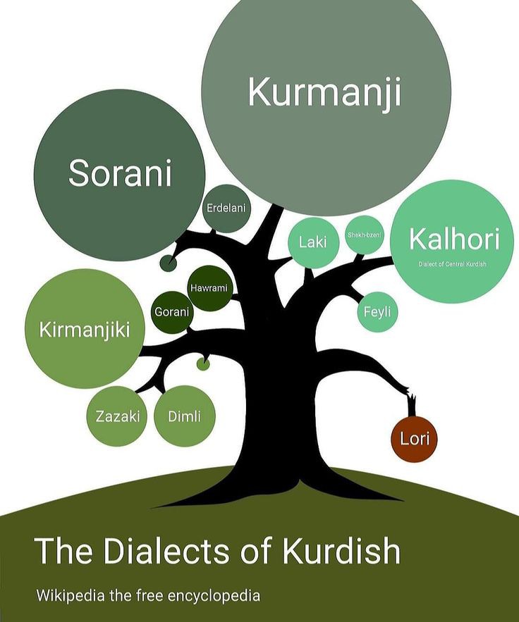 The dialects of the Kurdish language are:
Kurmancî - Soranî - Kelhurî - Kirmanckî - Lori - Zazakî - Lekî - Feylî - Goranî - Dimilî - Kirmaşanî - Erdelanî - Hewramî- Badînî............