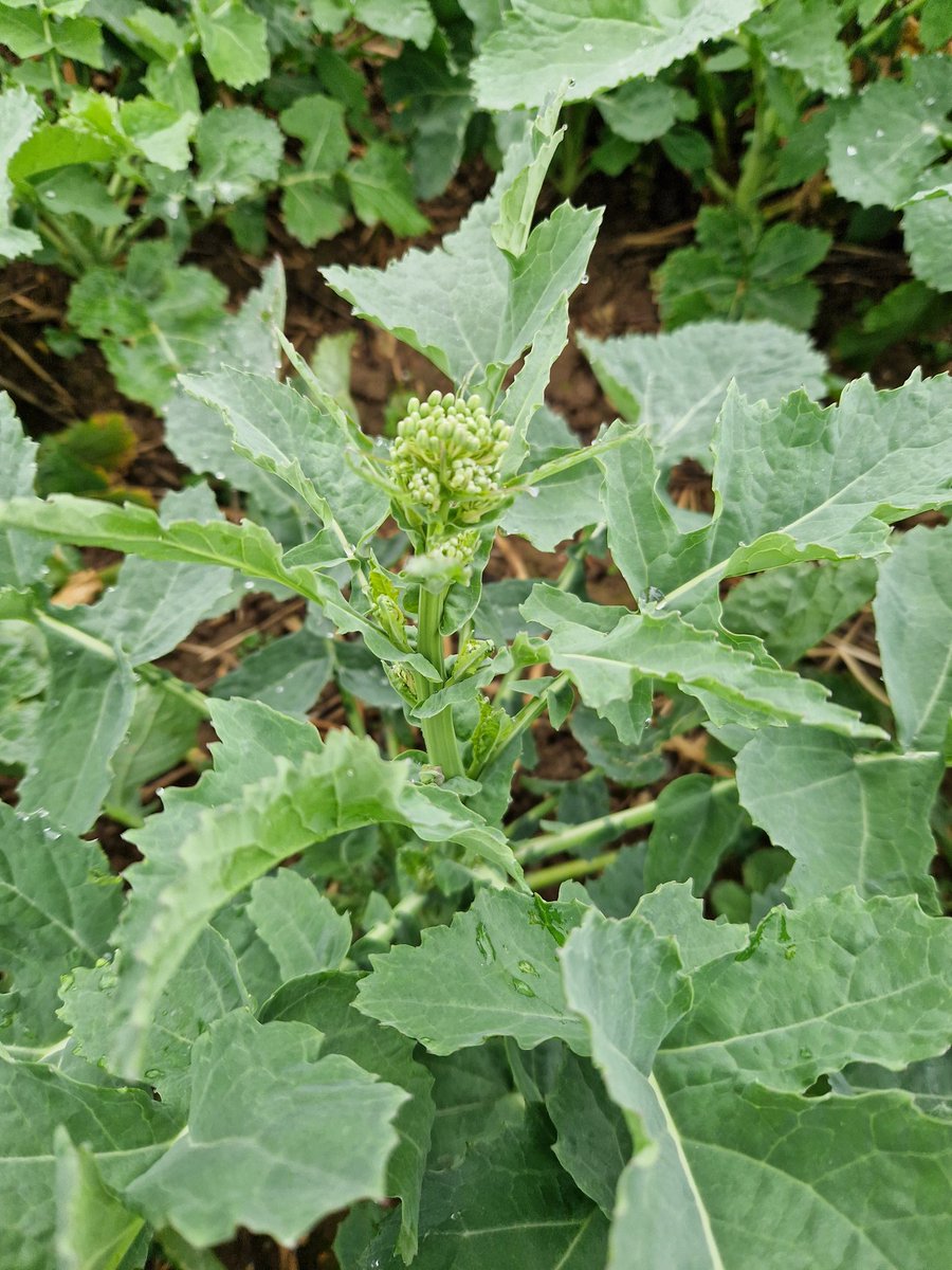 Ben Martin tweet media