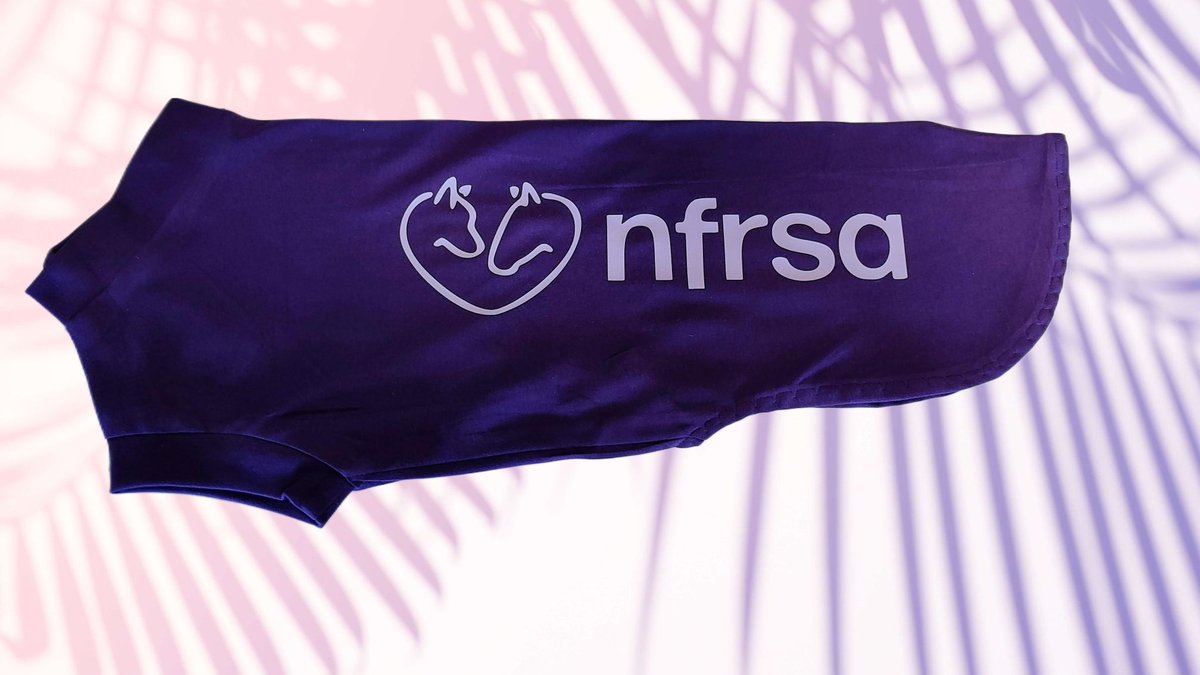 🌟 🌟 Elevate Your Dog's Style with Forest Fleece Dog T-Shirts! 🐾✨Second Skin, Medical Cover, Mid weather, keep your dog clean, fully customisable , ensuring a unique look that matches their personality. Crafted for supreme comfort forestfleece.co.uk/shop/ols/produ…