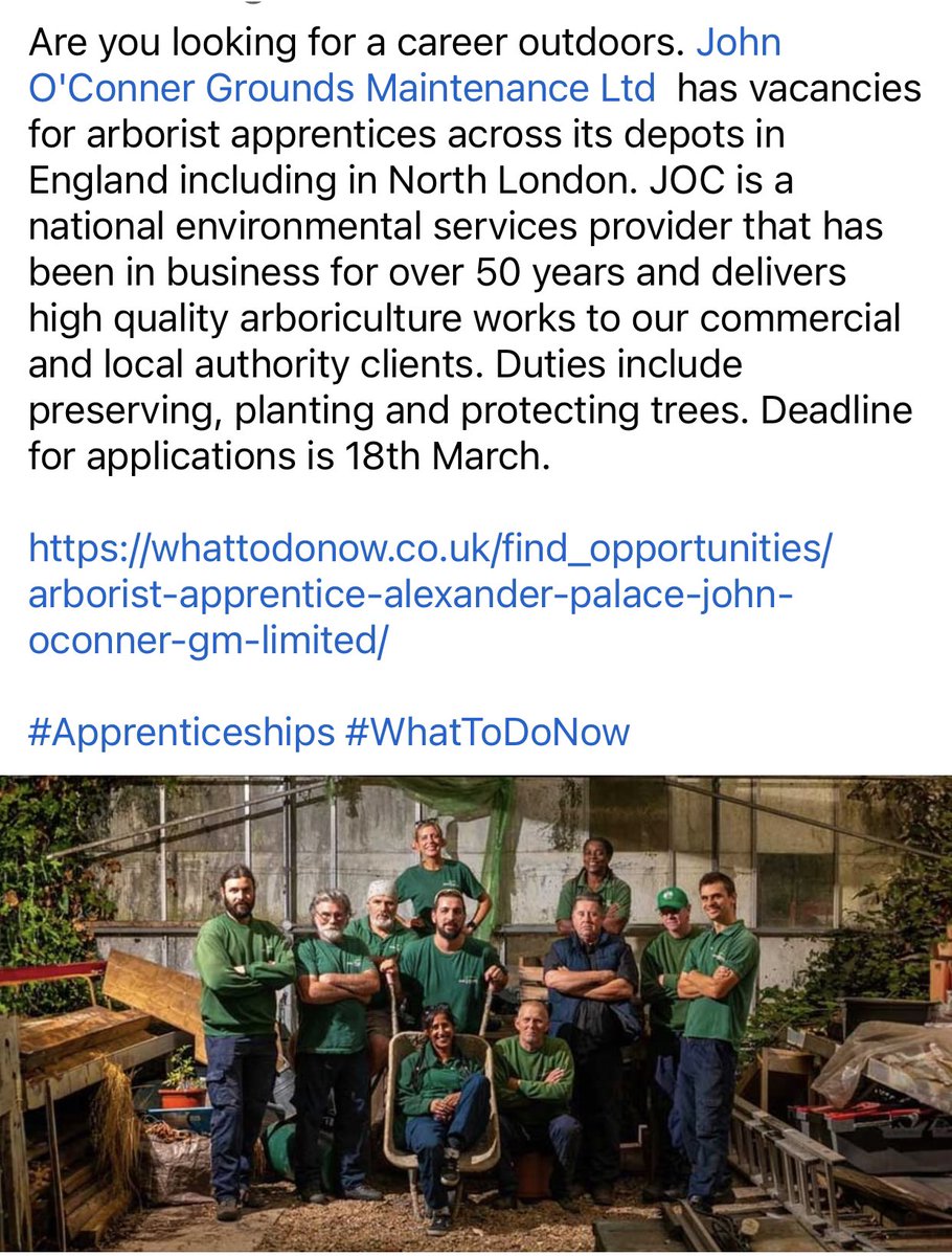 What To Do Now tweet media