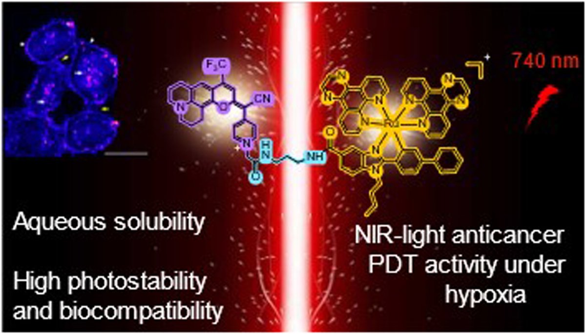 Chemical Science (@chemicalscience) on Twitter photo One of the <a href="/ChemicalScience/">Chemical Science</a> articles you can discover in our #RSCFellowsCollection comes from Gilles Gasser <a href="/gassergroup/">Gasser Group</a>, José Ruiz <a href="/jruizum/">José Ruiz López</a> and Vicente Marchán et al.
Read about their NIR-activatable Ru(ii)-coumarin photosensitizer here: pubs.rsc.org/en/content/art… One of the <a href="/ChemicalScience/">Chemical Science</a> articles you can discover in our #RSCFellowsCollection comes from Gilles Gasser <a href="/gassergroup/">Gasser Group</a>, José Ruiz <a href="/jruizum/">José Ruiz López</a> and Vicente Marchán et al.
Read about their NIR-activatable Ru(ii)-coumarin photosensitizer here: pubs.rsc.org/en/content/art…