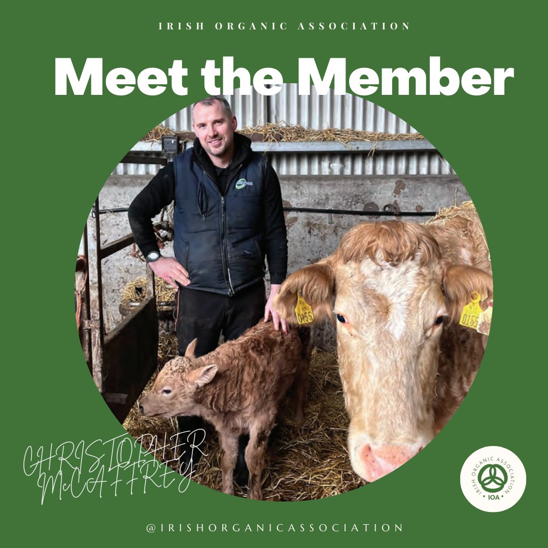 Meet the Member 👉🏼 Christopher McCaffrey an organic beef farmer from Co Donegal. Listen back to an interview with Christopher from Season 2 of the Organic Matters Podcast. Available here: bit.ly/3Bjkiwk #organicfarmer #organicmatters #organicireland