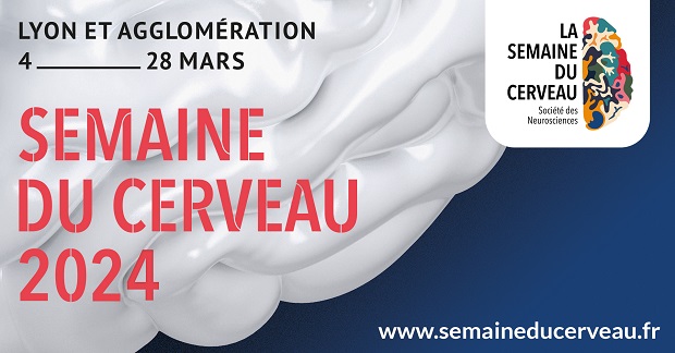 [ÉVÉNEMENT SCIENTIFIQUE]
Rendez-vous du 4 au 28 mars pour la <a href="/Semaine_Cerveau/">Semaine du Cerveau</a> ! 🧠 Pour sa 26e édition, la Semaine du Cerveau 2024 dans la Métropole de Lyon se place sous le thème : « Mon cerveau : une affaire sensible ».
➡️ Plus d'infos et programme sur universite-lyon.fr/-334454.kjsp