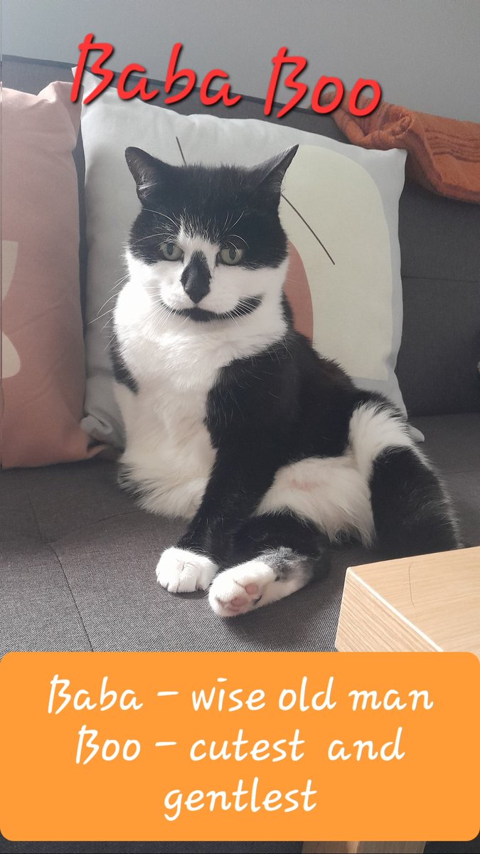 Baba, Nalu & Sanji tweet media