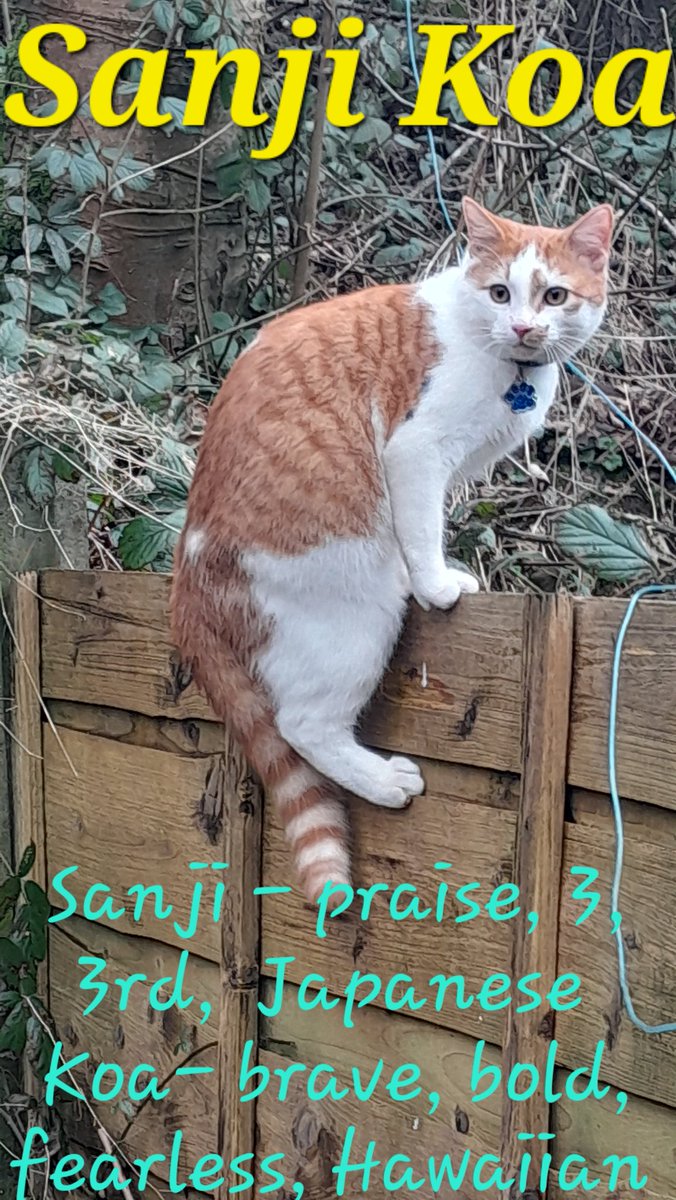 Baba, Nalu & Sanji tweet media