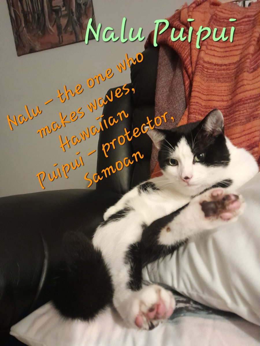 Baba, Nalu & Sanji tweet media