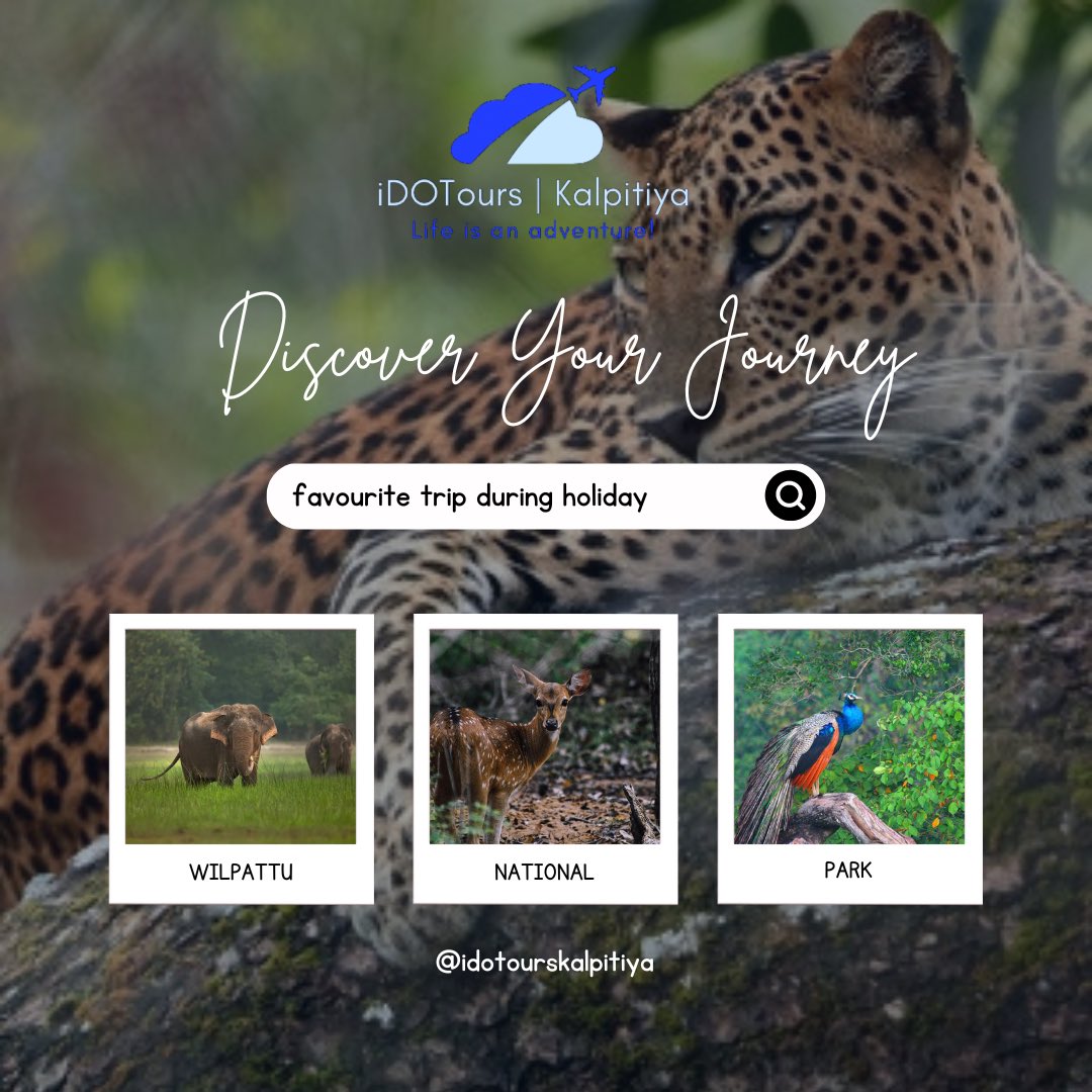 ToursDo's tweet photo. Discover Your Journey - Wilpattu National Park 

Book now +947-1-100-8001

#wilpattu #wilpattunationalpark #kalpitiya #kalpitiyabeach #idotours #idotourskalpitiya https://t.co/MEaYGAcYH7