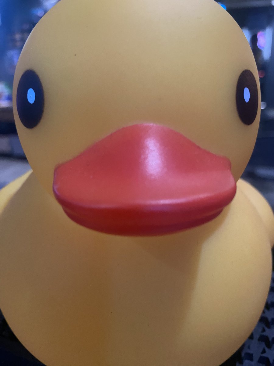 今日はリーグ!!!!
みんな頑張れ〜🫶🏻