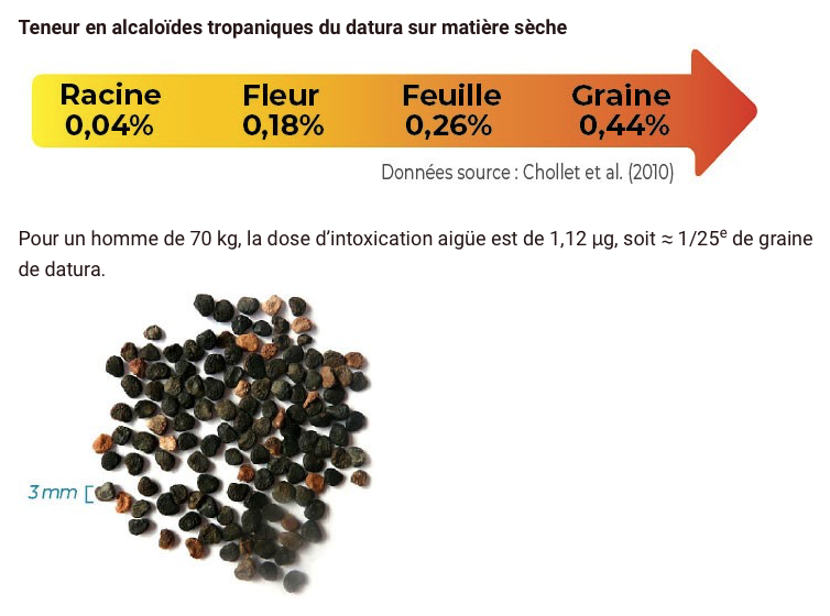 🌱 On n'en parle jamais, 𝗺𝗮𝗶𝘀 𝗹𝗮 #𝗡𝗮𝘁𝘂𝗿𝗲 𝗻'𝗮 𝗿𝗶𝗲𝗻 𝗱𝗲 𝘀𝘆𝗺𝗽𝗮𝘁𝗵𝗶𝗾𝘂𝗲 et elle peut même être très toxique, voir mortelle ☠️

⇥ Hallucinations 🤪
⇥ Troubles cardiaques 🫀
⇥ Arrêt cardiaque 💔
⇥ Confusion mentale 🧠

Il s'agit des symptômes d'une