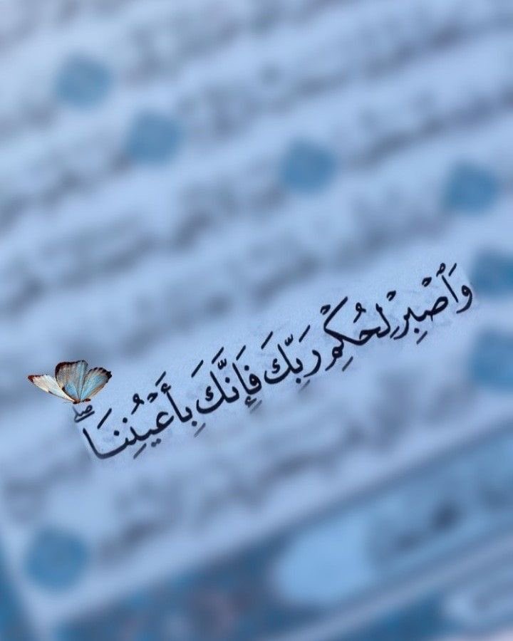 الحق منصور ولكنه مبتلى …ولابد من سنة التدافع بين أهل الحق والباطل ….
فالفائز من استعمله الله ليعلي به دينه …
وإن ربك غني عن العالمين …
#اللهم_صل_وسلم_على_نبينا_محمد 
#إدلب_وغزه_جرح_واحد
 #رحمك_الله_ياأمي
