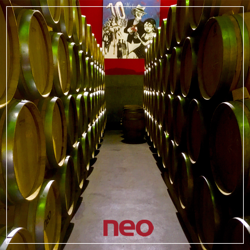 BodegasNEO's tweet photo. Y aquí, en silencio, el tiempo pasa mientras nuestros vinos se van transformando y convirtiéndose en esa explosión de sabor que luego se embotellará y se distribuirá. Y de esta manera, es como nacen los vinos Neo. ❤️🍷
#BodegasNeo #RiberaDelDuero #Vino https://t.co/ROdDzDH6yB