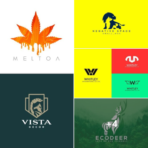 I will do custom logo and minimalist logo design for your business
