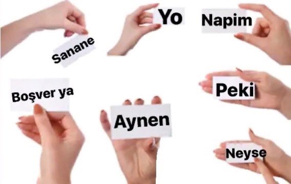 Boğa burcunun günlük hayatta kullandığı kelimeler: