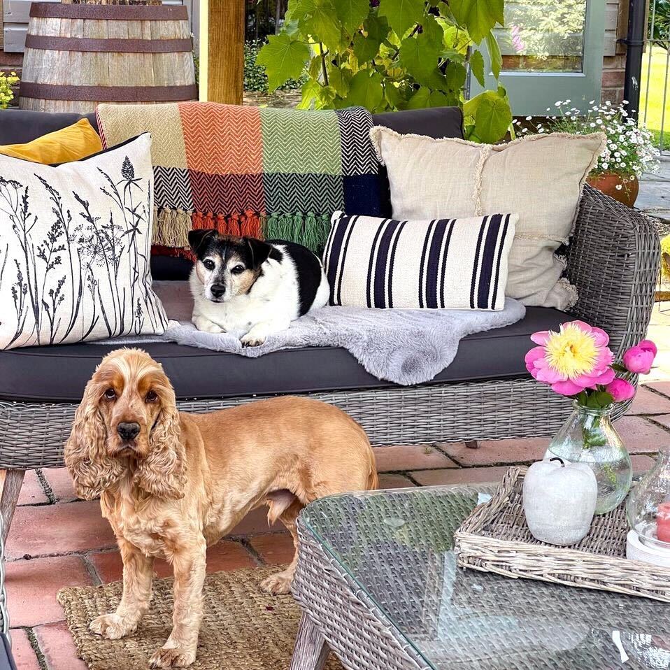 Celebrate #loveyourpetday with comfort and cuddles. Our cosy mats and throws are perfectly snuggly for you and your furry friends. 🐾🥰