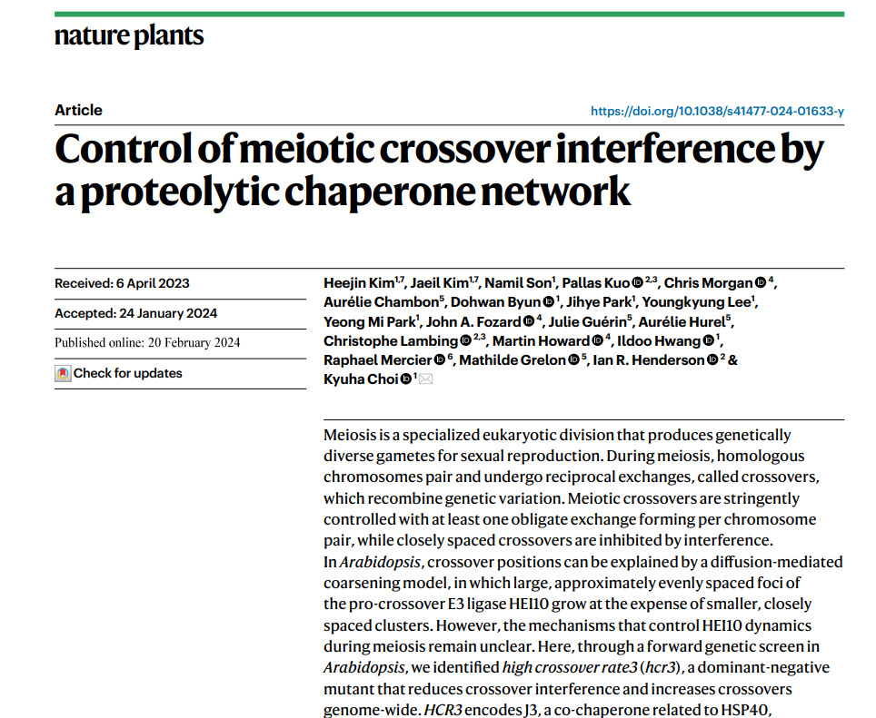 Kyuha Choi (@kyuha_c) on Twitter photo Delighted to announce that our paper, 'Control of meiotic crossover interference by a proteolytic chaperone network,' has been published in <a href="/NaturePlants/">Nature Plants</a>! Grateful to co-first authors Heejin, Jaeil, and our other co-authors Check it out: nature.com/articles/s4147… Delighted to announce that our paper, 'Control of meiotic crossover interference by a proteolytic chaperone network,' has been published in <a href="/NaturePlants/">Nature Plants</a>! Grateful to co-first authors Heejin, Jaeil, and our other co-authors Check it out: nature.com/articles/s4147…