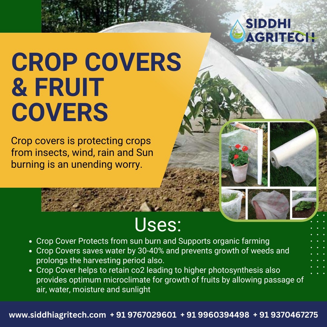 "Shield your harvest with our durable crop covers – safeguarding your crops, nurturing your yield."
.
siddhiagritech.com
+91 9767029601
.
#seedlingtrays #cropcover #fruitcover #agriculture #farming #farm #mulchingfilm #plantbased #weedbarrier #igfood #agriculturelife