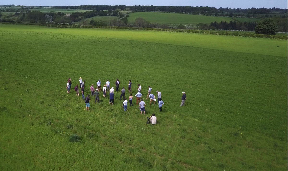 Innovative Farmers tweet media