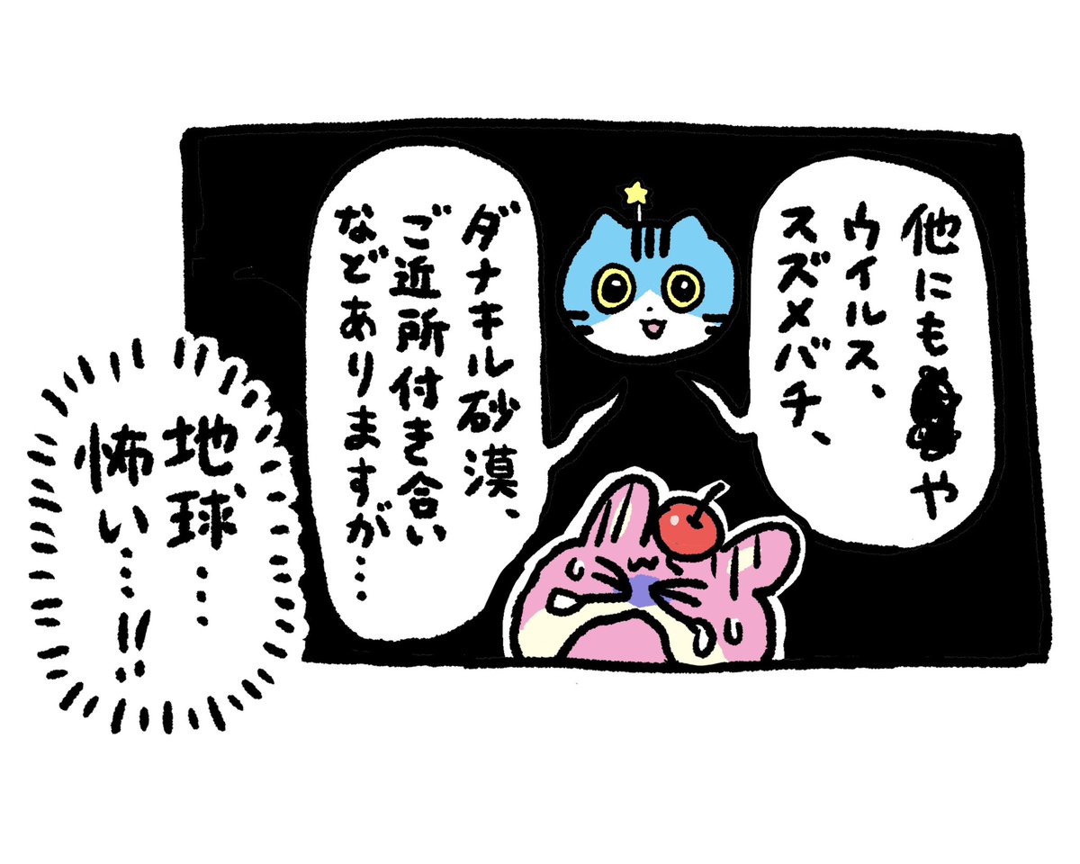 ねこのふうちゃん
未知との遭遇 