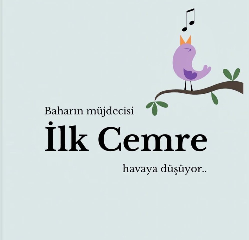 Tweetim geldi tweet media