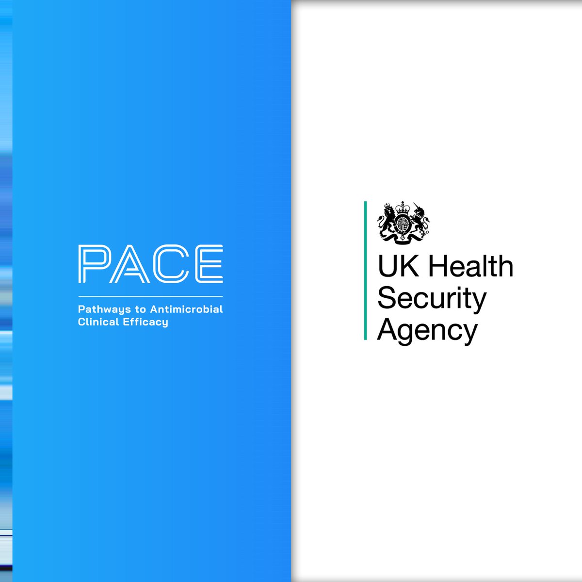 PACE (@pace_amr) on Twitter photo 🔵 News: We are excited to announce the <a href="/UKHSA/">UK Health Security Agency</a> as the first PACE collaboration to help tackle deadly #AMR.
🔗 eu1.hubs.ly/H07HQRT0
@InnovateUK | <a href="/lifearc1/">LifeArc</a> | <a href="/MedDiscCat/">Medicines Discovery Catapult</a> 🔵 News: We are excited to announce the <a href="/UKHSA/">UK Health Security Agency</a> as the first PACE collaboration to help tackle deadly #AMR.
🔗 eu1.hubs.ly/H07HQRT0
@InnovateUK | <a href="/lifearc1/">LifeArc</a> | <a href="/MedDiscCat/">Medicines Discovery Catapult</a>