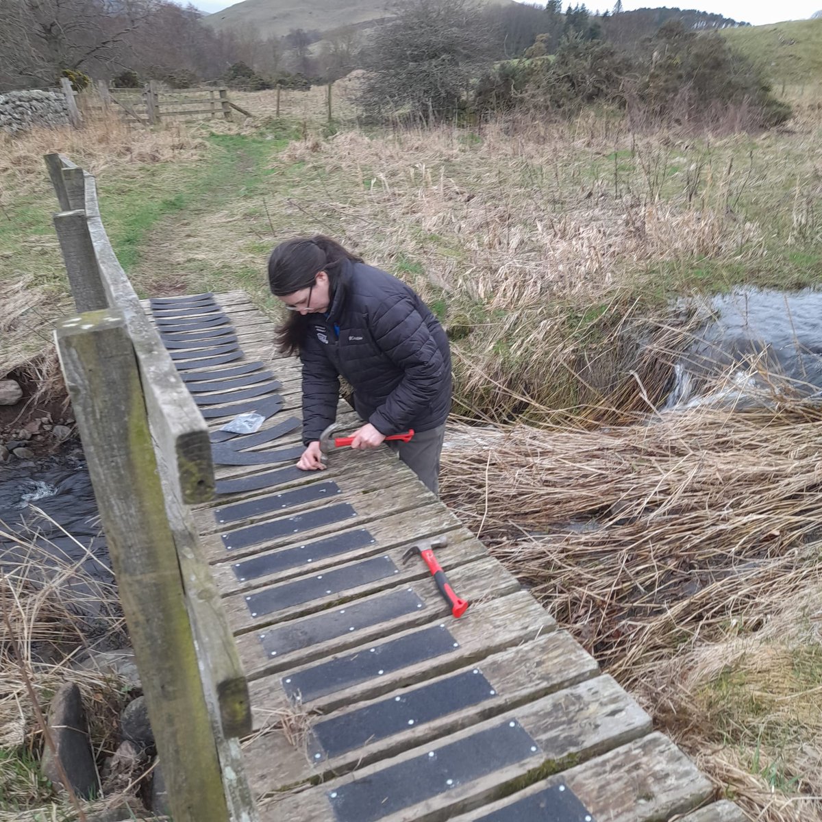 Abbi has been improving a footbridge in the college valley by adding non-slip strips onto the wooden boards. @NlandNP