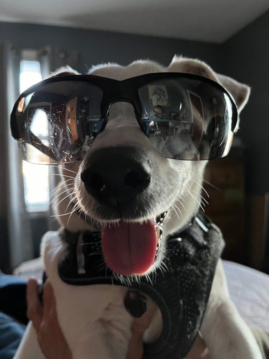 Mario Hilario tweet media