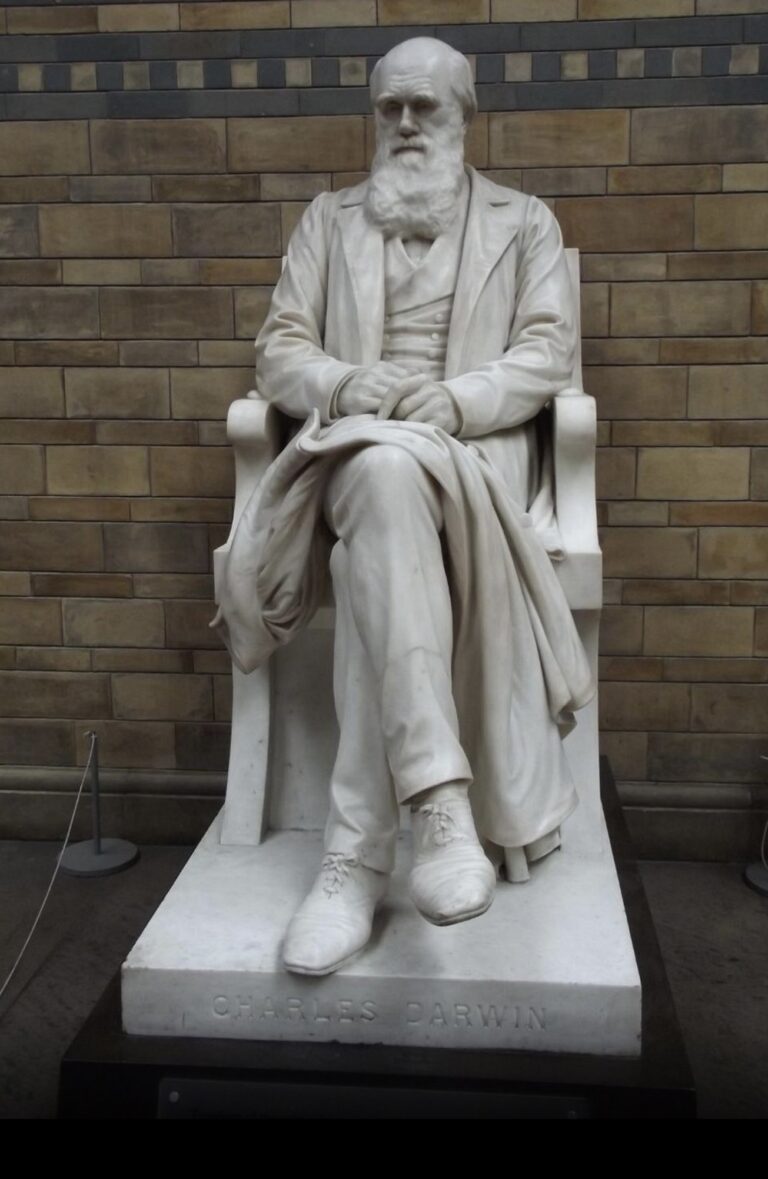 Charles Darwin's orchid and Kew Gardens.  Excellent guide Helene tells the story here - xlwalks.co.uk/Home/?p=4046.  Book a private walk here - xlwalks.co.uk/Home/?page_id=…
#lovelondon #kewgardens #darwin #guidedwalks