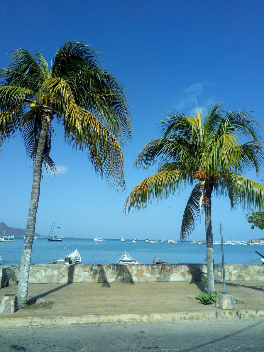 Feliz feliz y súper feliz martes mi gente 😁...un nuevo día lleno de inmensas oportunidades, celebremos la vida y las cosas buenas, a pasarla bien 👍. Foto recuerdo bahía de Juan Griego 🌴 isla de Margarita 🇻🇪🌴. Vamos por un buen ☕😎. Saludos