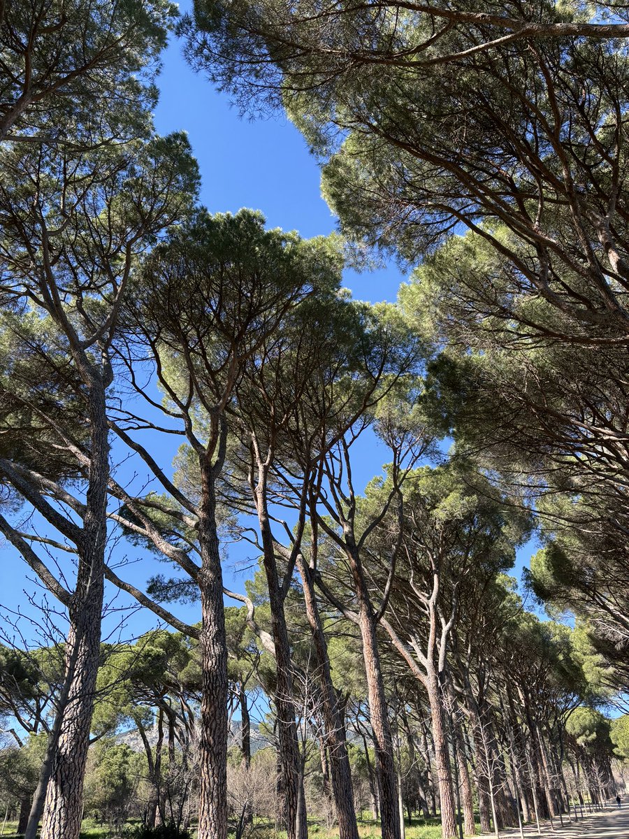 Sur les routes espagnoles 02/2024