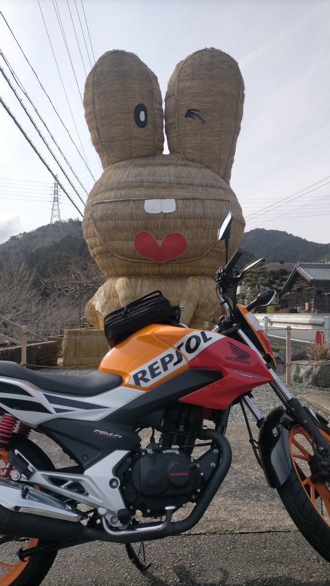 #400x #cb125f
今年はうさぎか？
違うな