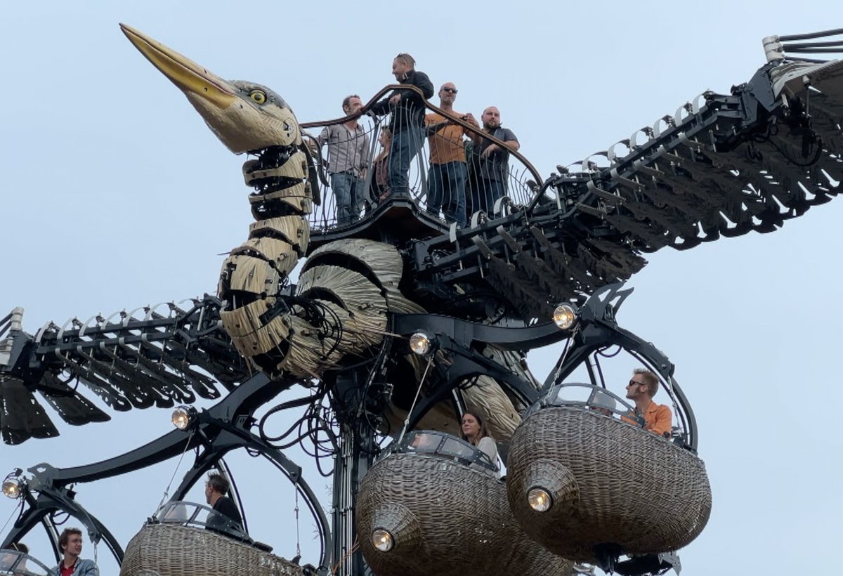 telenantesinfo's tweet image. LE GRAND HÉRON S'EST ABIMÉ !

Il a souffert du vent et de la pluie. Livré en 2022 par la compagnie la Machine à Nantes Métropole, la sculpture est restée sur un parking près des nefs.
Les travaux de réhabilitation du Grand Héron pourraient avoisiner les 220 000 euros. #nantes