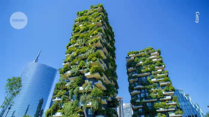 Cities are facing a polycrisis and solutions are needed. Nature-based approaches, such as planting trees, can provide multiple benefits. Let's work towards inclusive and sustainable urban transformation. #greenercities #sustainability #urbanplanning