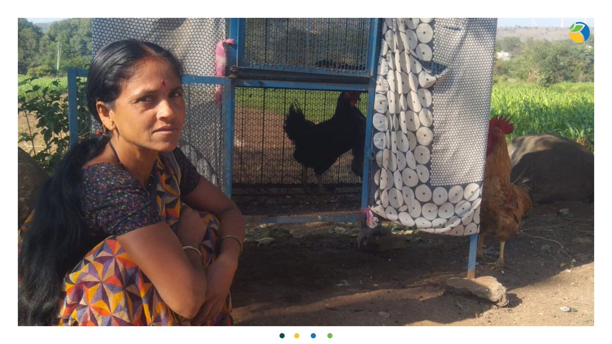 WOTRIndia's tweet image. 52 women in 4 villages of Ahmednagar district in #Maharashtra receive hen shelters under a project by APRAAVA and WOTR. Earlier having no stable sources of income, they are now finding financial stability by owning poultry businesses. 🌟👩‍🌾

#WOTR4Development #WOTRat30