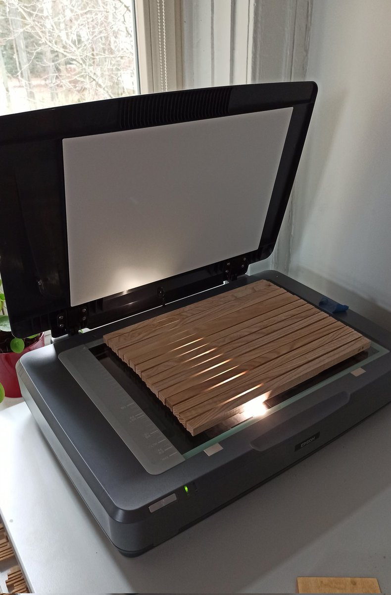 Bog pine dendroecology tweet media