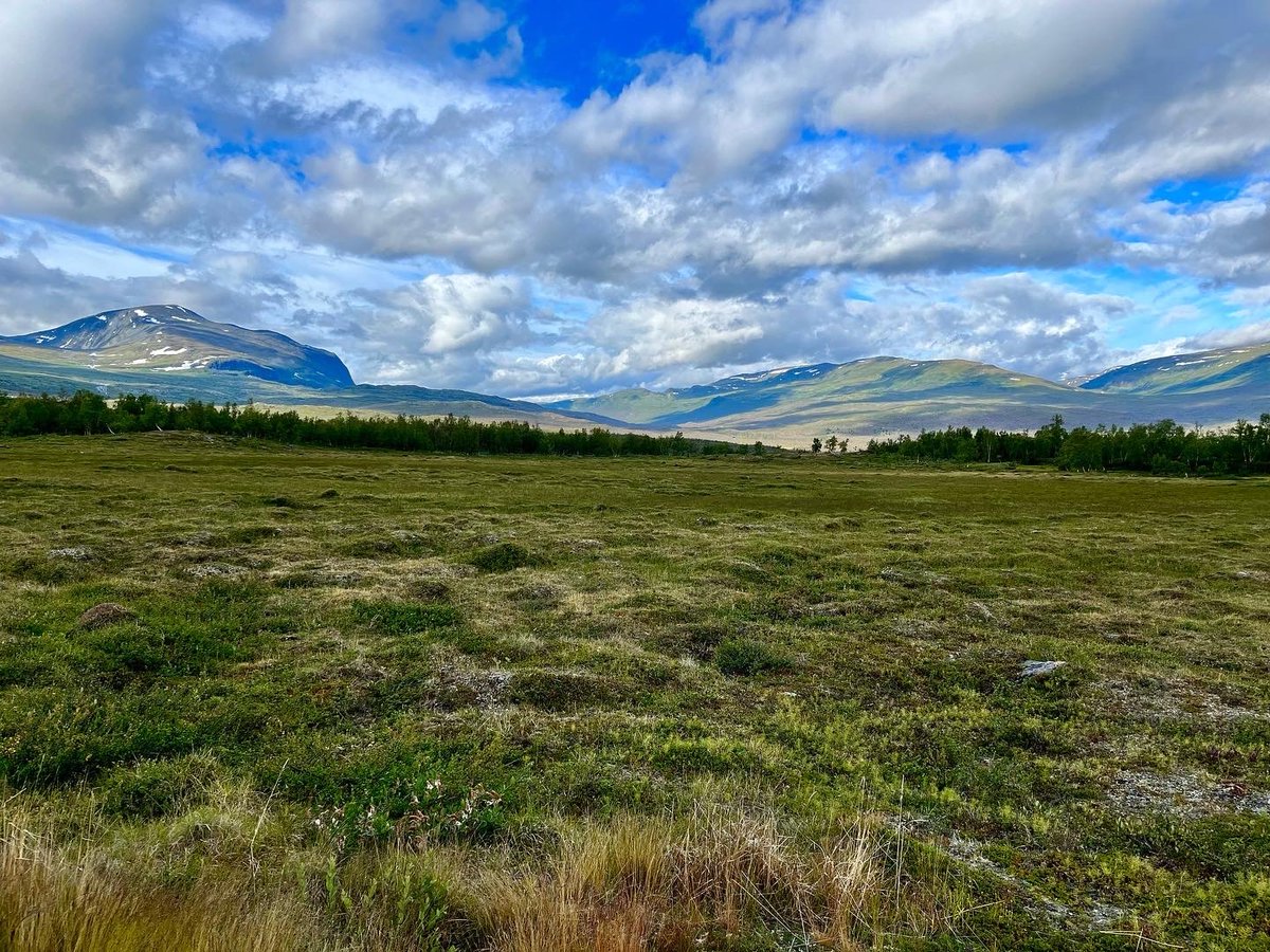 mickej72's tweet photo. Here's an amazing opportunity to do a PhD in some very well-known study systems, with Professor David Wardle, one of the best ecologists in the world. Have a look and apply, or spread the word! https://t.co/VbJCB5F74p @umeauniversitet #ecology #borealecology #PhDposition https://t.co/aHEJfax73v
