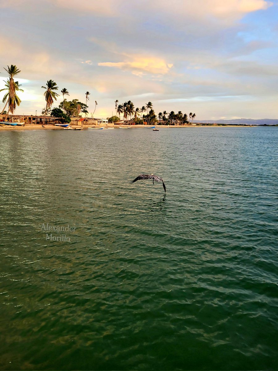 Con la bendición de Dios feliz día.
El Bichar isla de #Coche
#Venezuela